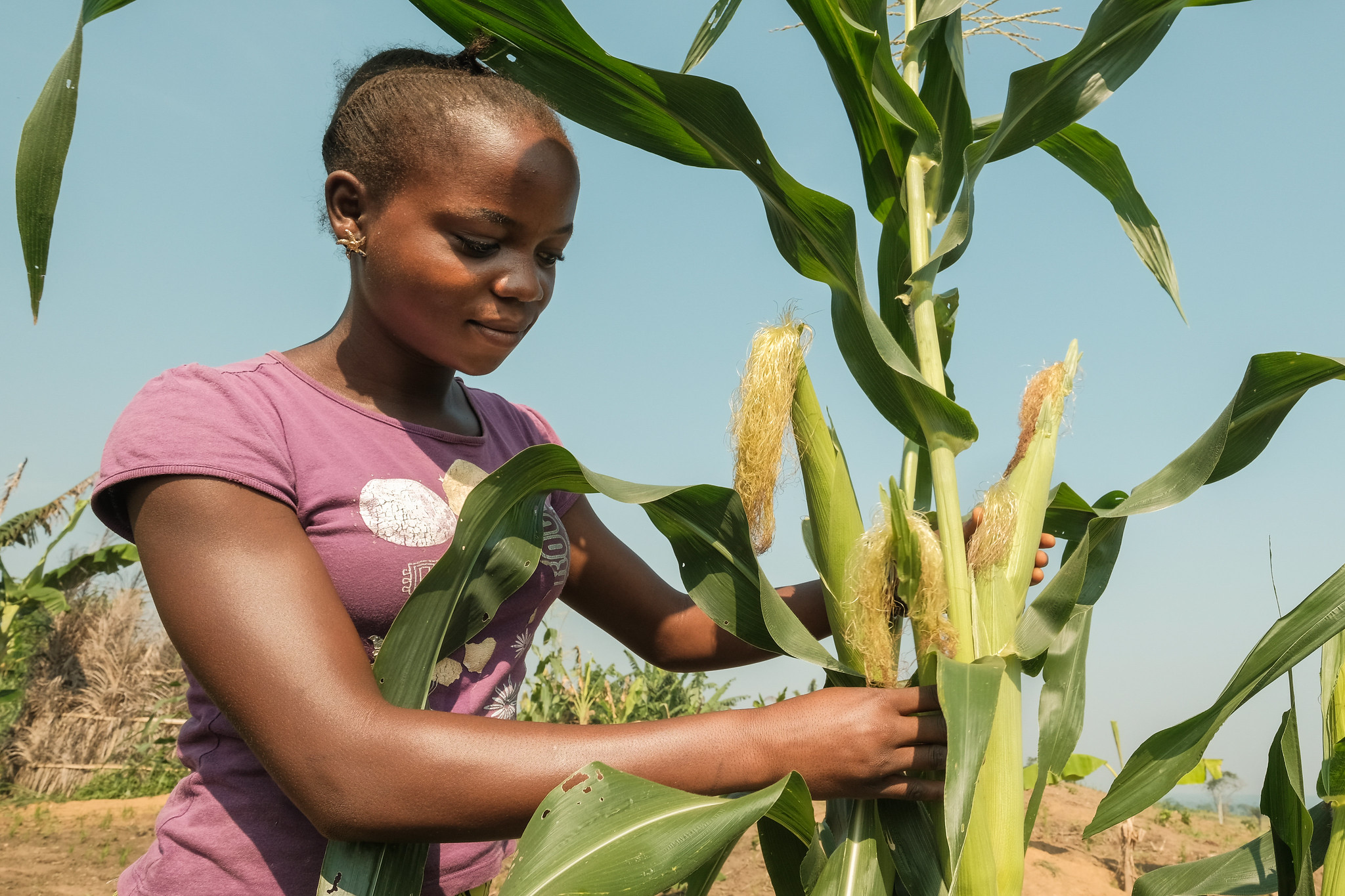 agricultural entrepreneurs